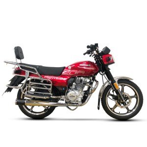 Fortisima 200 — Motor 1